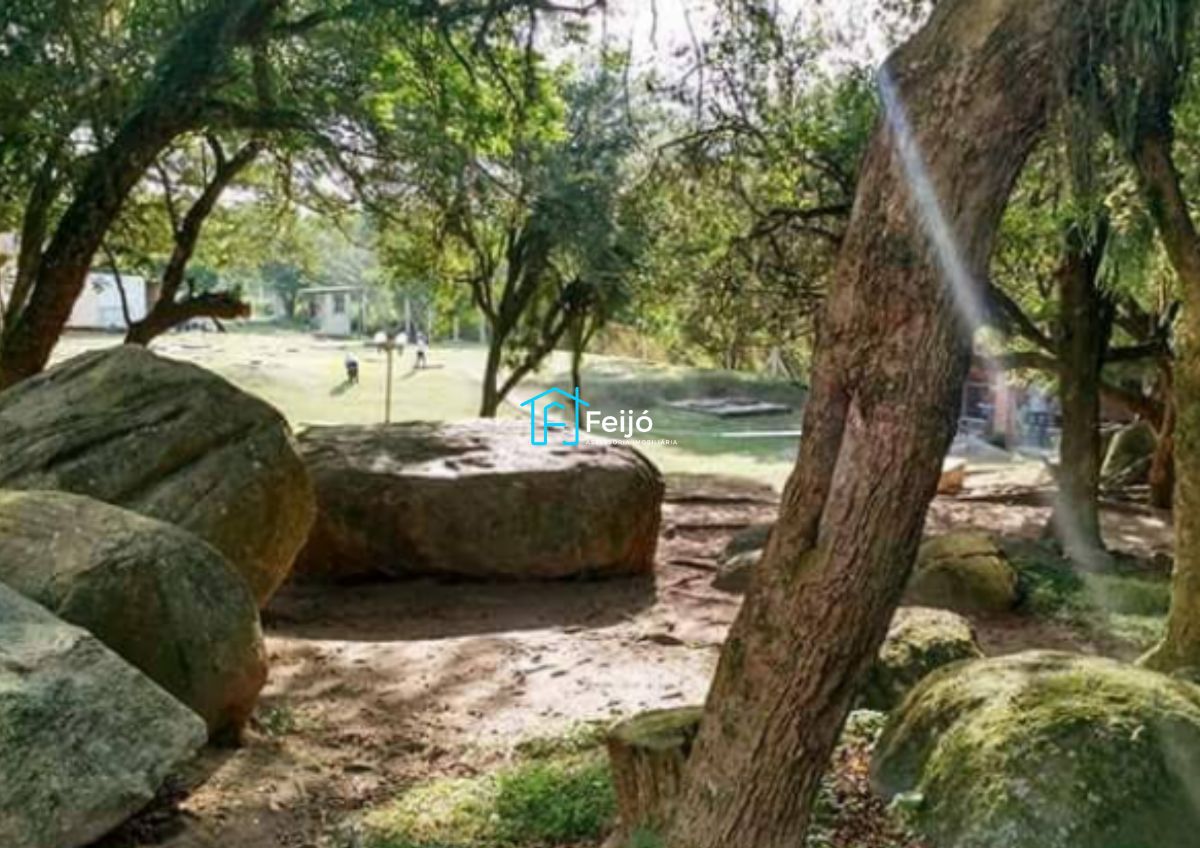 Apartamento, 2 quartos, 39 m² - Foto 15