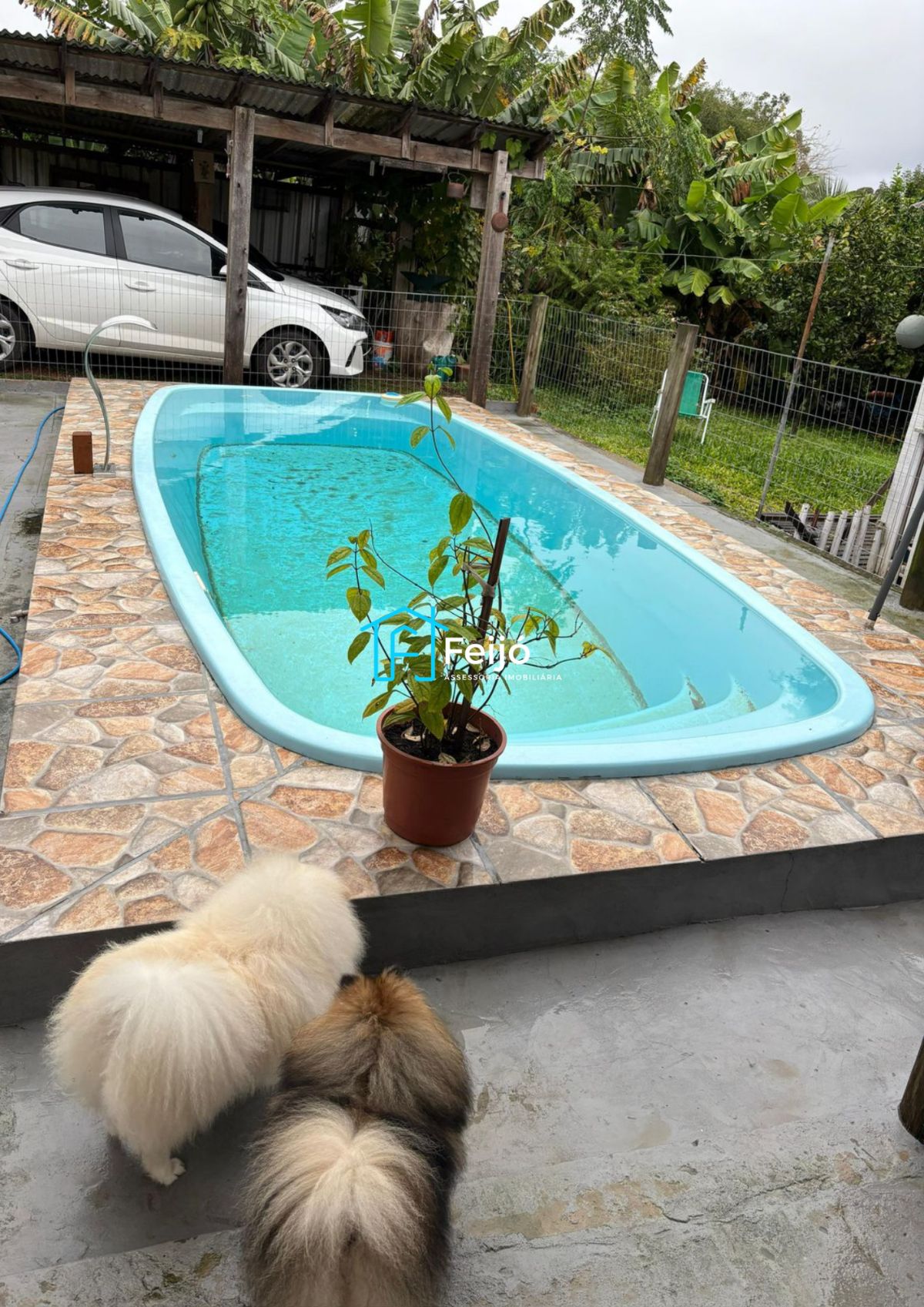 Casa, 4 quartos, 100 m² - Foto 4