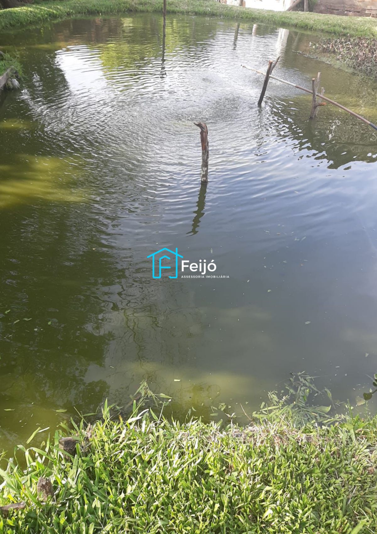 Casa, 4 quartos, 100 m² - Foto 6