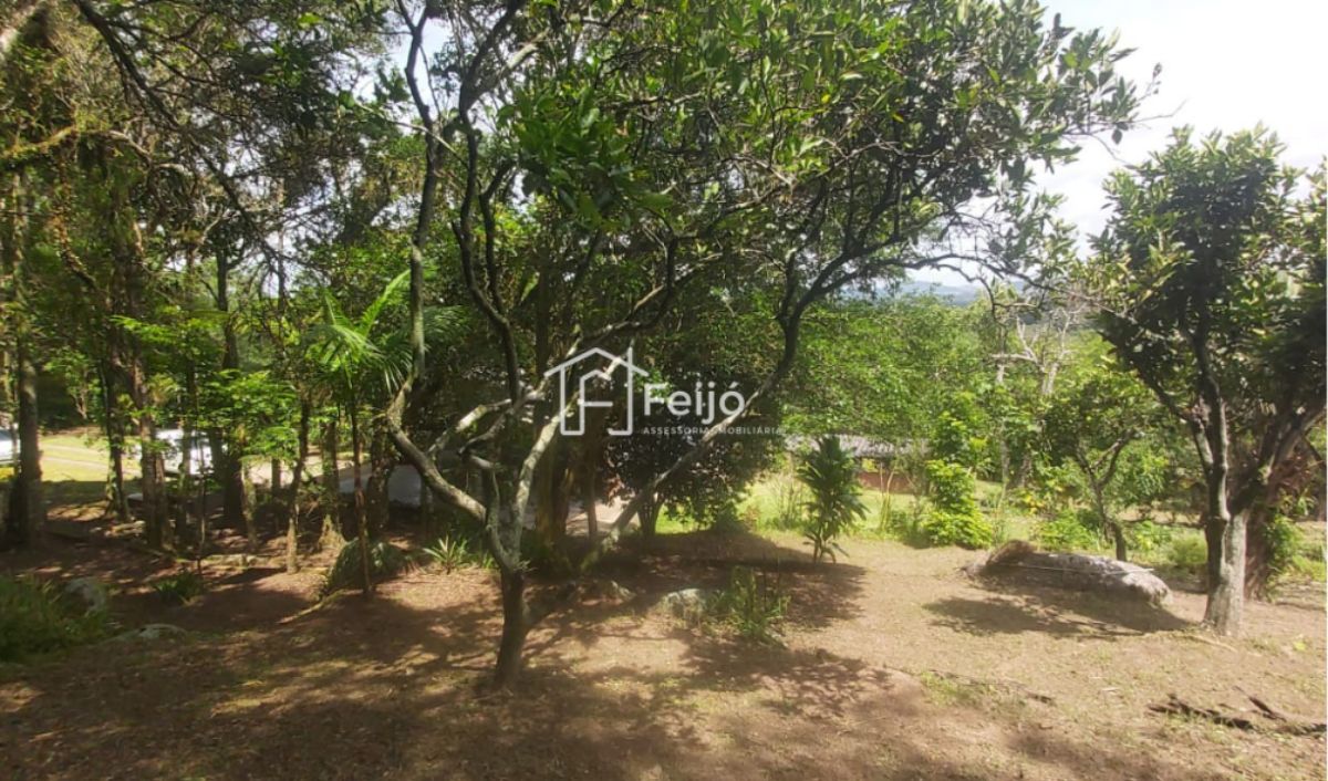 Lindo Sítio com Casa de 2 dormitórios e suíte - Zona Sul - Bairro Lageado.